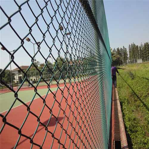 Galvanized / PVC Coated Chain Link Wire Mesh Fence with High Quality