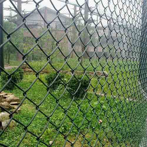 Cyclone Wire Mesh PVC coated chain link fence