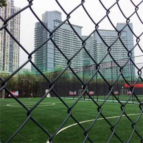 Chain Link Fence for Dog Runs: How to Choose a Safe & Secure Design